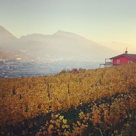 Вілла Agritur Maso Spezial Villa Lagarina Екстер'єр фото
