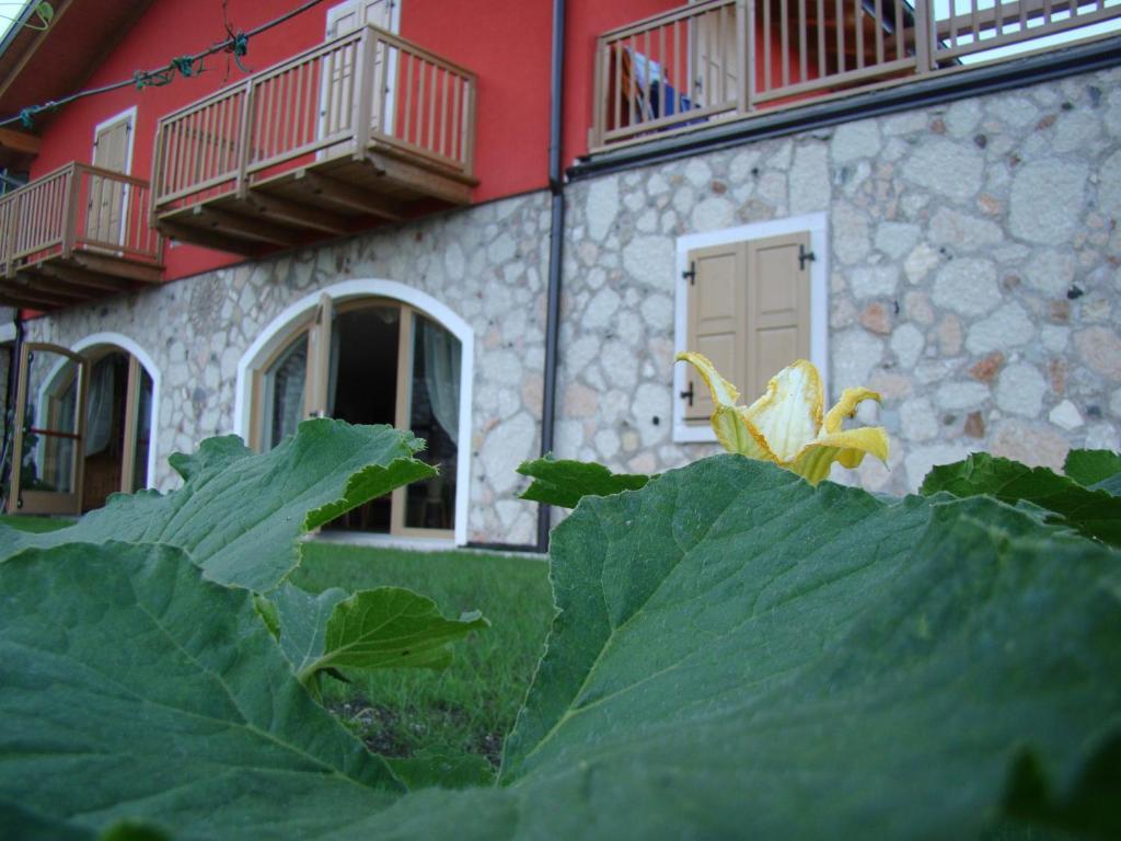 Вілла Agritur Maso Spezial Villa Lagarina Екстер'єр фото