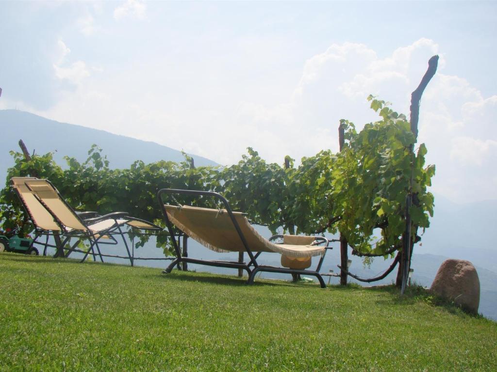 Вілла Agritur Maso Spezial Villa Lagarina Екстер'єр фото