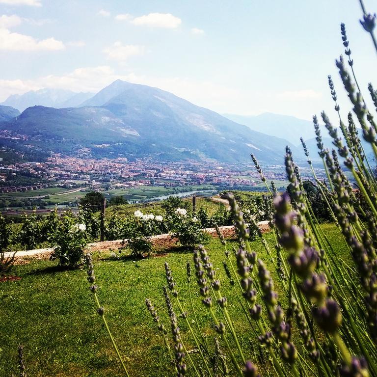 Вілла Agritur Maso Spezial Villa Lagarina Екстер'єр фото